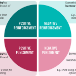 Negative Reinforcement Dog Training: Effective Techniques Explained