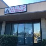 Olly’S Dog Grooming: Perfect Pampering for Pets