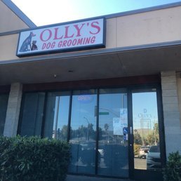Olly’S Dog Grooming: Perfect Pampering for Pets