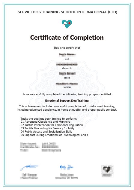 Online Dog Training Certification: Unlock Your Career Potential