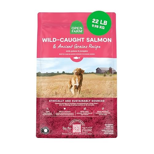 Open Farm Dog Food Review: Protein-Packed, Nutrient-Rich Recipes Explored