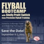 Oriole Dog Training Club Md: Elevate Your Pup’s Skills