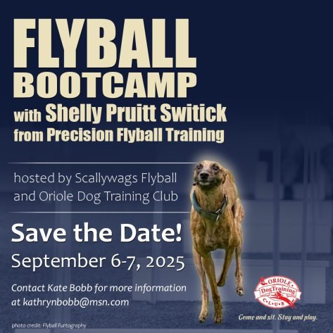 Oriole Dog Training Club Md: Elevate Your Pup’s Skills