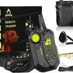 Patpet Dog Training Collar: Master Your Pet’s Behavior