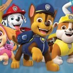 Paw Patrol Dog Breeds: Discover Your Pup’s Hero!