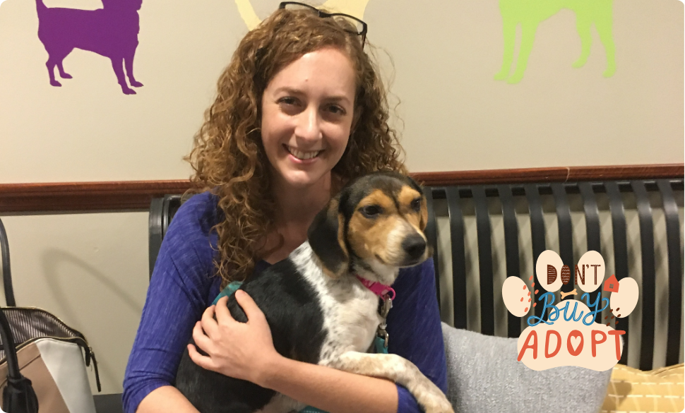 Pet Adoption Vs Buying a Dog: The Ultimate Decision