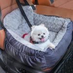 Pet Car Seats Small Dogs: Cozy, Safe, and Stylish Travel Boosters