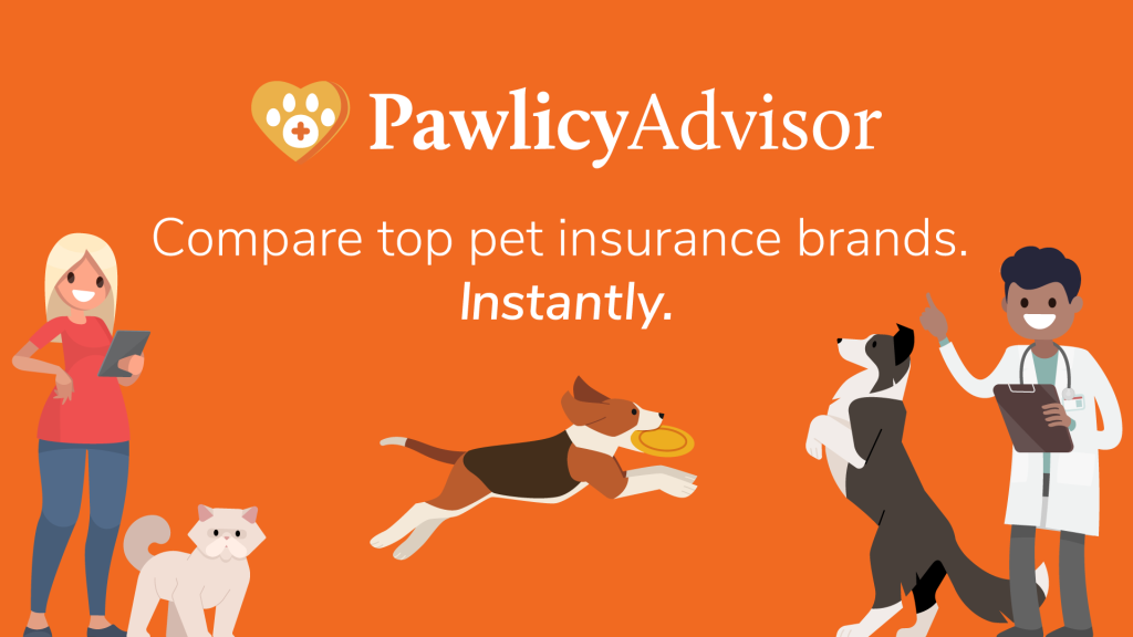 Pet Insurance for Boxer Dogs: Secure Their Health Today