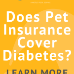 Pet Insurance for Diabetic Dog: Essential Coverage Guide