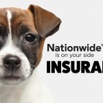 Pet Insurance for Dogs With Cancer: Essential Coverage
