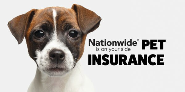 Pet Insurance for Dogs With Cancer: Essential Coverage