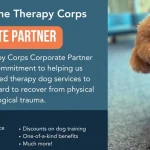 Pet Therapy Dog Training: Unlock Healing Potential