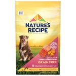 Popular Dog Food Brands Offering Premium Nutrition for Every Breed