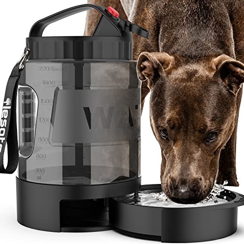 Portable Dog Water Bottle Travel: Ultimate Hydration Solution for Active Pets