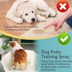 Potty Training Dog: Proven Techniques for Success