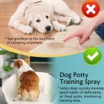 Potty Training Dogs: Master the Art Effortlessly