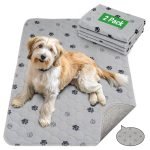 Potty Training Pads for Dogs: Hassle-Free Housebreaking