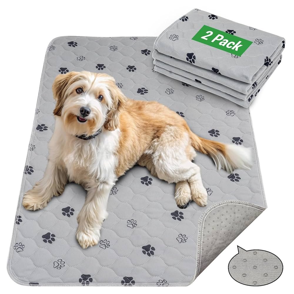 Potty Training Pads for Dogs: Hassle-Free Housebreaking
