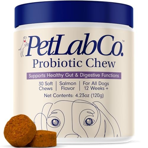 Probiotic Chews for Dogs: Top Choices for Digestive and Skin Health