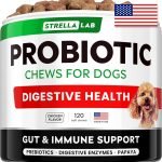 Probiotics for Dogs Gut Health: Boosting Vital Wellness