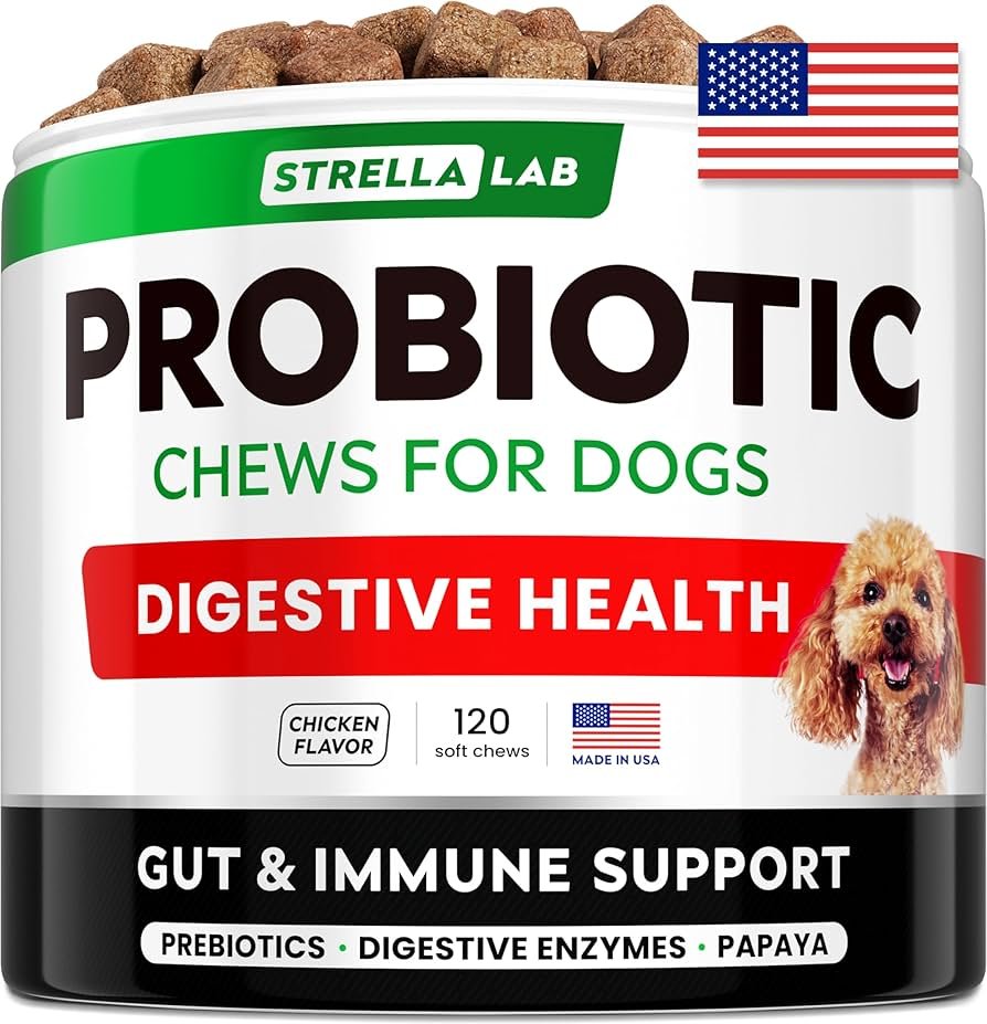 Probiotics for Dogs Gut Health: Boosting Vital Wellness