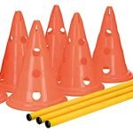 Professional Canine Rehab Equipment for Ultimate Dog Agility and Strength Training