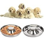 Puppy Bowls Stainless Steel: Durable, Non-Skid Feeding Solutions for Pets