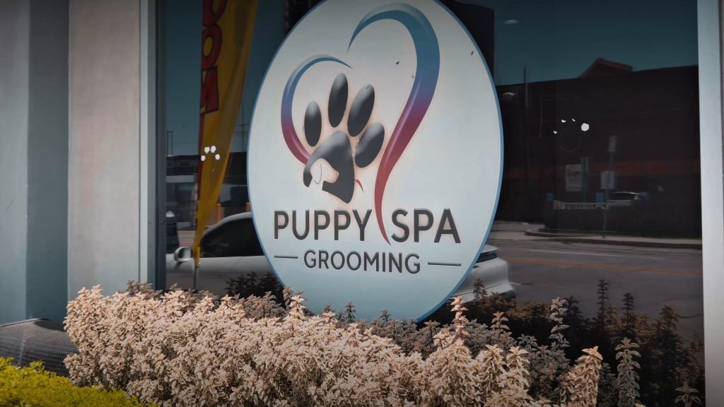Puppy Spa Dog Grooming: Ultimate Pampering Guide