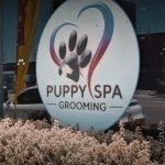 Puppy Spa Dog Grooming: Ultimate Pampering Guide