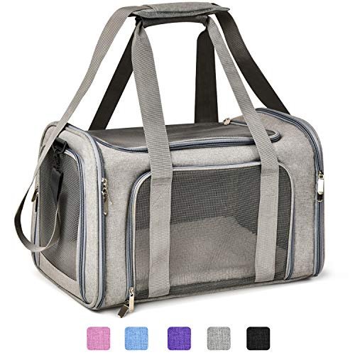Puppy Travel Carrier: Top TSA-Approved Soft Sided Carriers for Small Dogs