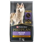 Purina Active Dog Food: Fuel Your Dog’s Energy
