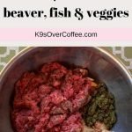 Raw Diet for Dogs Recipes: Nutritious Meal Ideas
