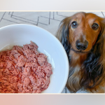 Raw Diet for Dogs With Allergies: Optimal Relief