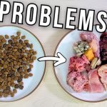 Raw Diet Killed My Dog: Unveiling the Risky Truth