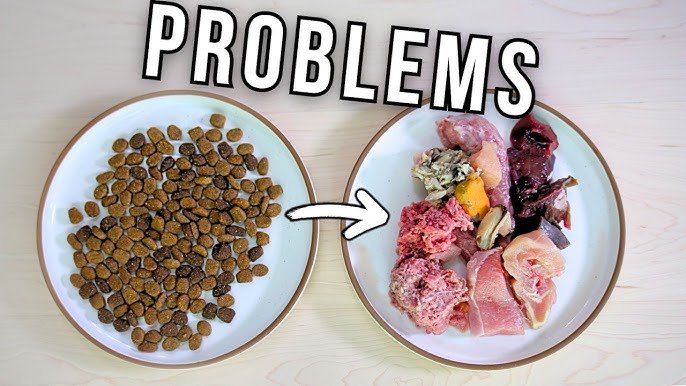 Raw Diet Killed My Dog: Unveiling the Risky Truth