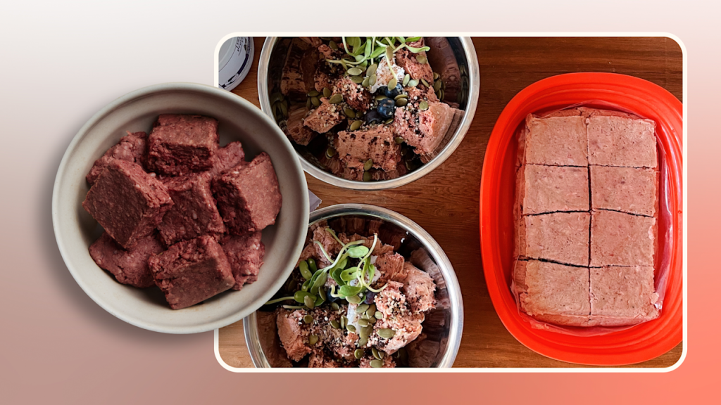 Raw Food Diet Meal Plan for Dogs: Boost Canine Health