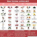 Raw Food Dog Diet Plan: Boost Your Pup’s Health