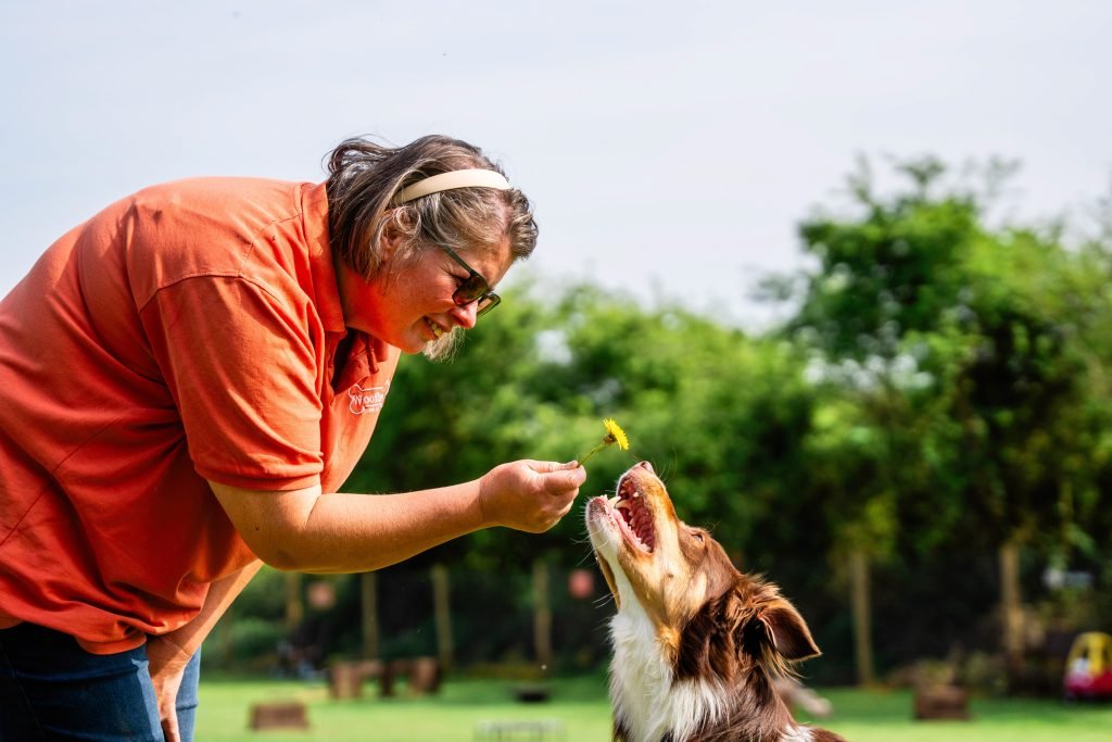Recall Dog Training: Mastering Off-Leash Control