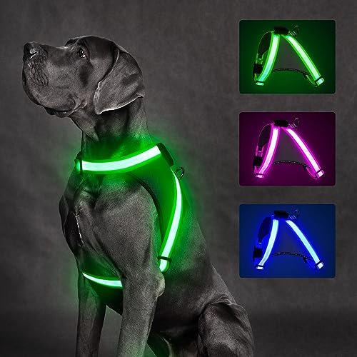 Reflective Dog Harness for Night Walks: Ultimate Safety and Visibility Guide