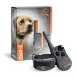 Remote Training Collar for Hunting Dogs: Top Waterproof & Rechargeable Picks