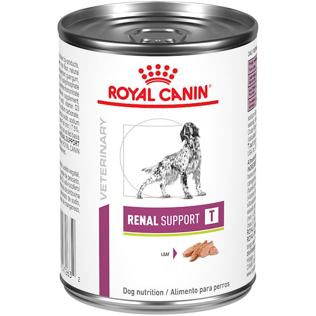 Renal Diet Dog: Essential Guide for Healthy Pups