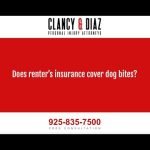 Renters Insurance Cover Dog Bites: Protect Your Paws