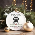 Rescue Dog First Christmas Gift: Heartwarming Ideas