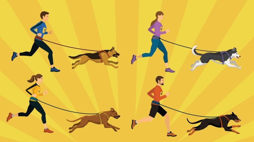 Rescue Dog Training: Transform Your Pet with Proven Tips