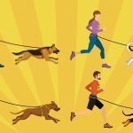 Rescue Dog Training: Transform Your Pet with Proven Tips