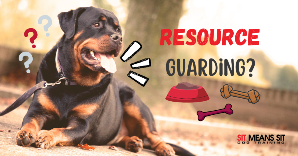 Resource Guarding Dog Training: Transform Behavior Fast