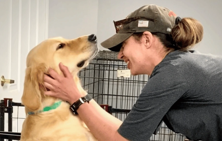 Seizure Alert Dog Training: Empowering Independence