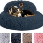 Select Comfort Dog Bed: Ultimate Orthopedic Support for Medium Dogs