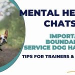 Service Dog for Mental Health: Transforming Lives