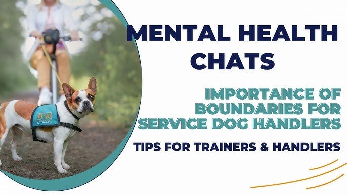 Service Dog for Mental Health: Transforming Lives
